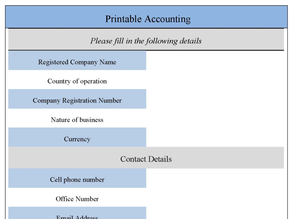 Printable Accounting Form