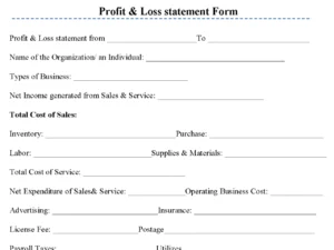 Profit & Loss Statement Form