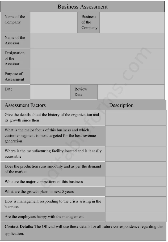 Business Assessment Fillable PDF Template