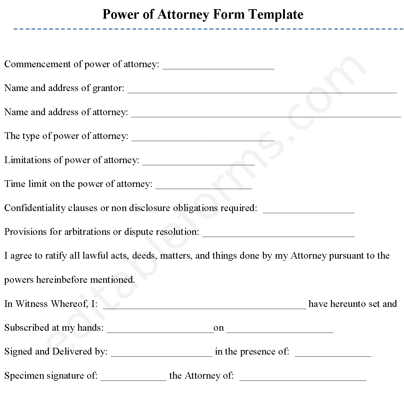 Power Of Attorney Fillable PDF Template