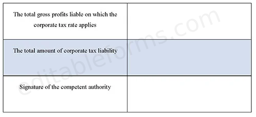 Corporate Tax Fillable PDF Template