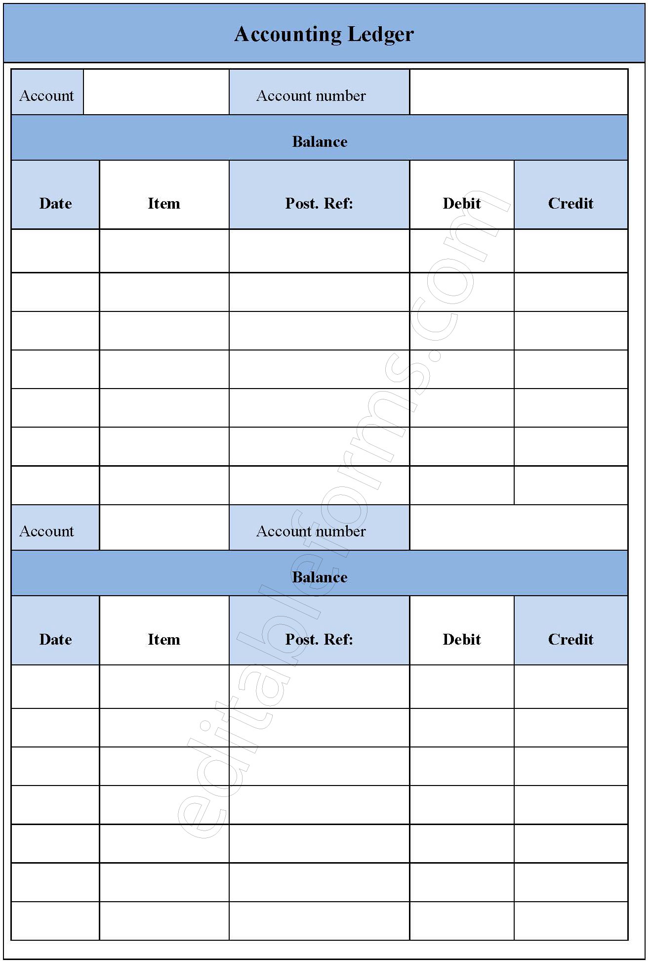 Black Accounting Ledger Fillable PDF Template