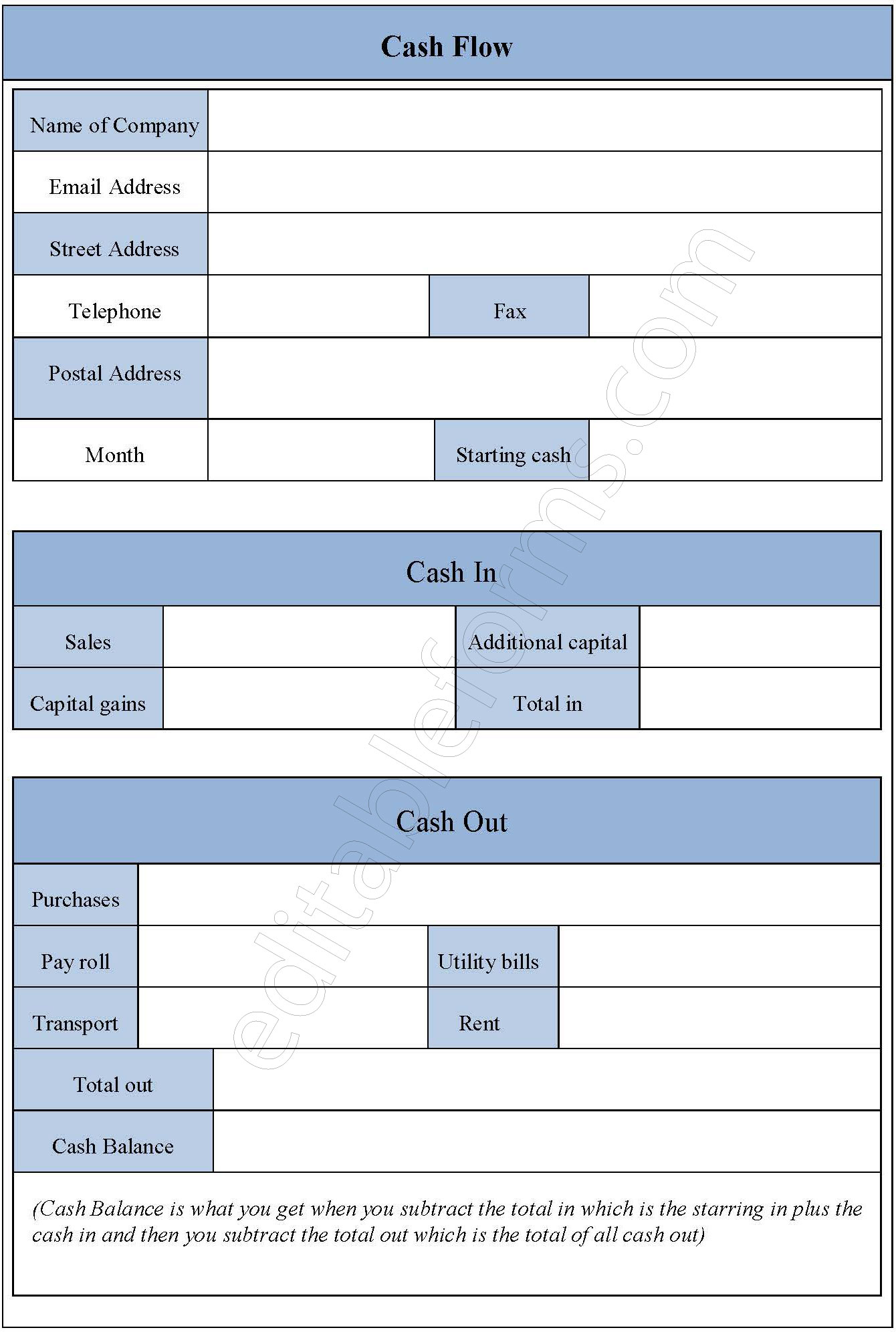 Cash Flow Fillable PDF Template