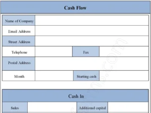 Cash Flow Fillable PDF Form