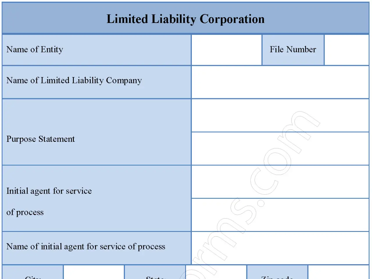 Limited Liability Corporation Form