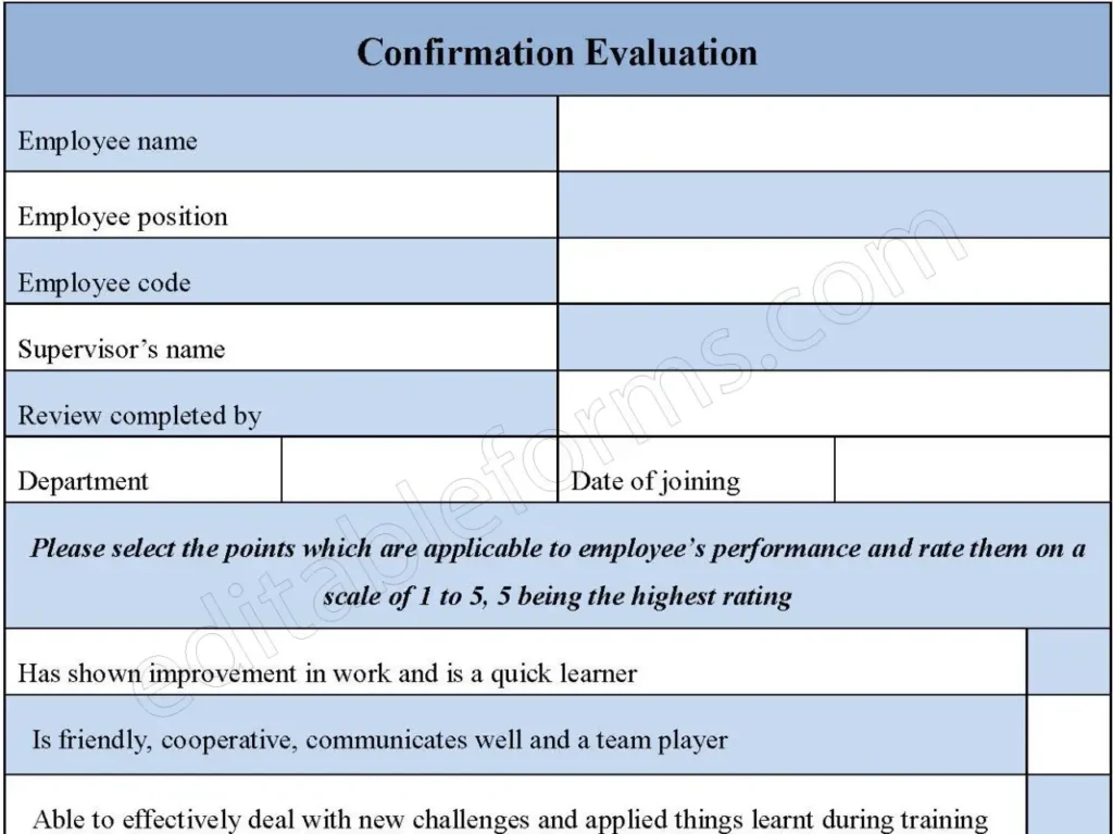 Confirmation Evaluation Fillable PDF Form