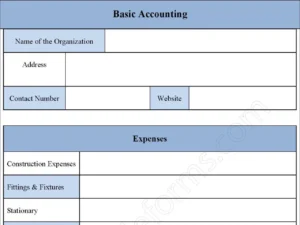 Basic Accounting Fillable PDF Form