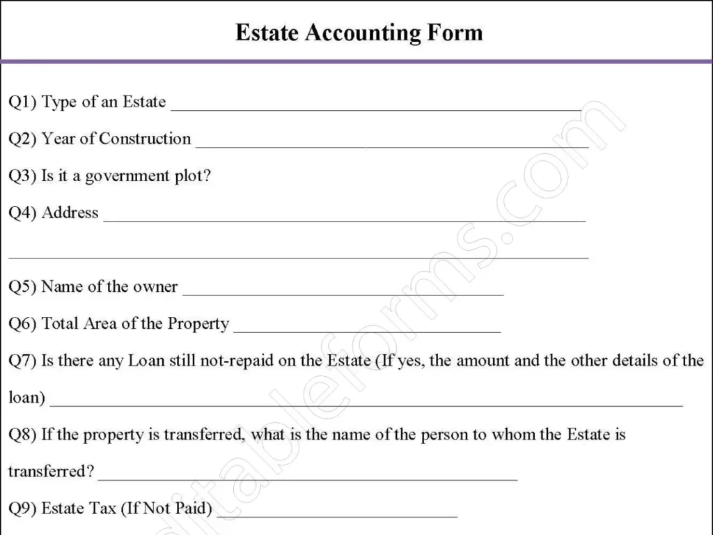 Estate Accounting Fillable PDF Form