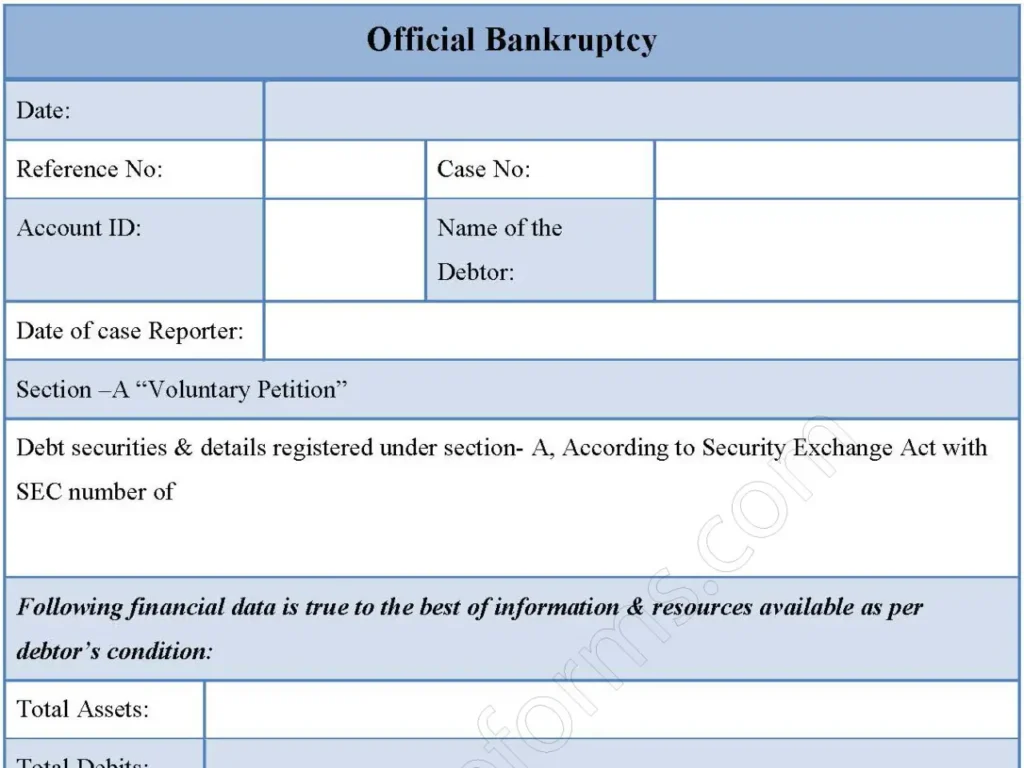 Official Bankruptcy Fillable PDF Form