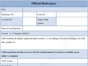 Official Bankruptcy Fillable PDF Form