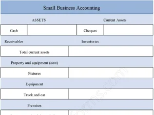 Small Business Accounting Fillable PDF Form