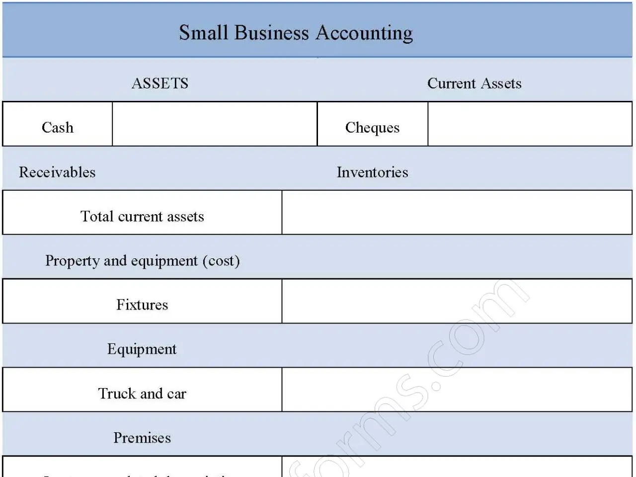 Small Business Accounting Fillable PDF Form