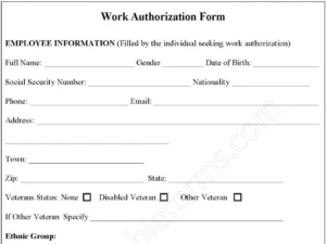 Work Authorization Fillable PDF Form