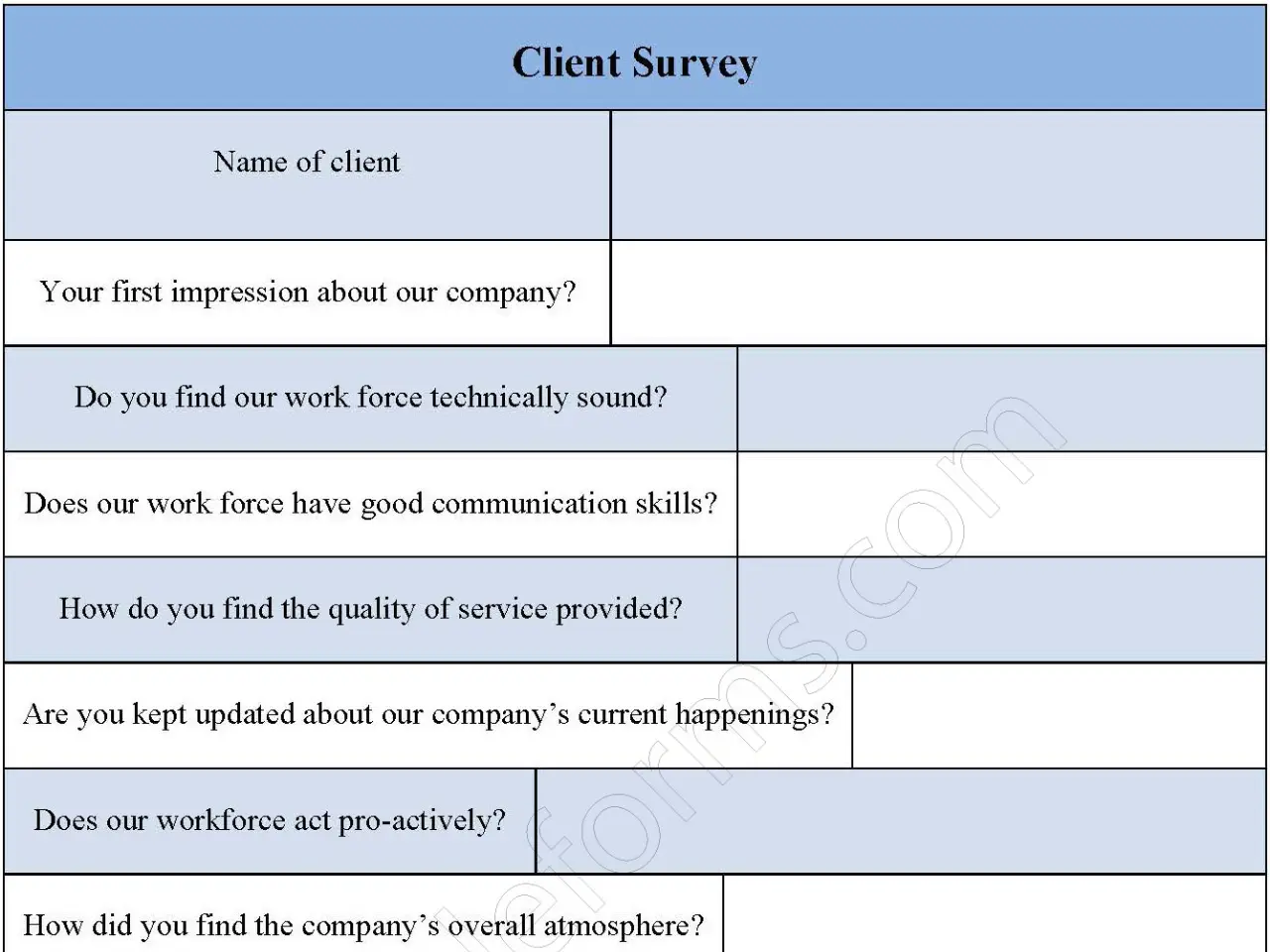 Client Survey Fillable PDF Form