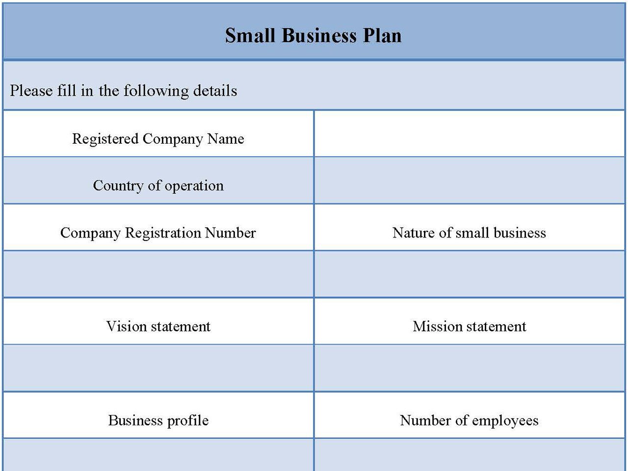 small business plan requirement far