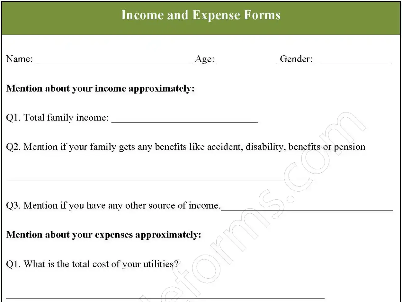 Income and Expense Fillable PDF Form