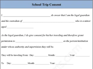 School Trip Consent Form