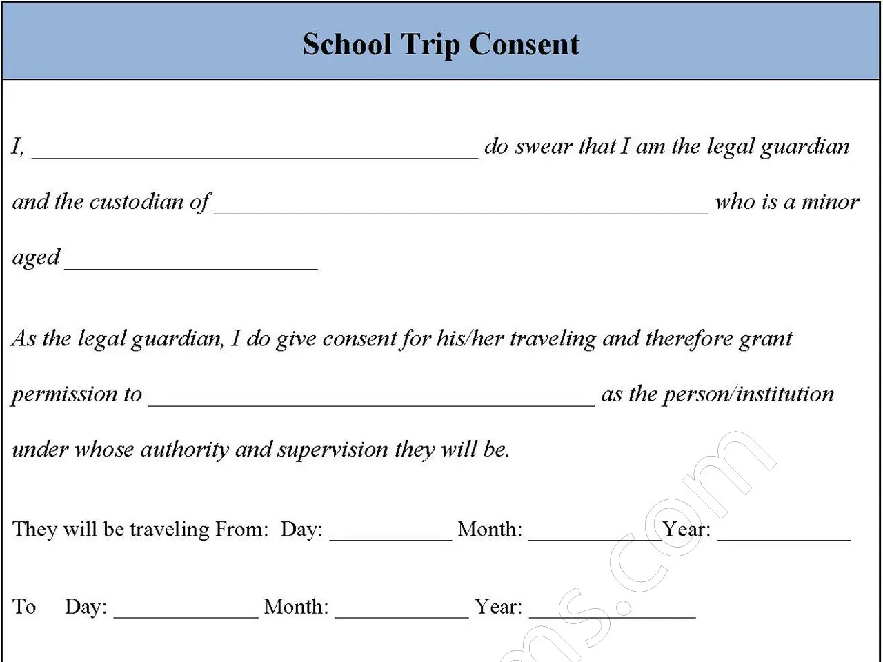 School Trip Consent Form
