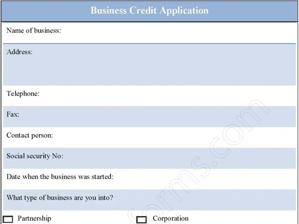 Business Credit Application Fillable PDF Form