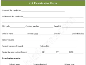 CA Examination Fillable PDF Form