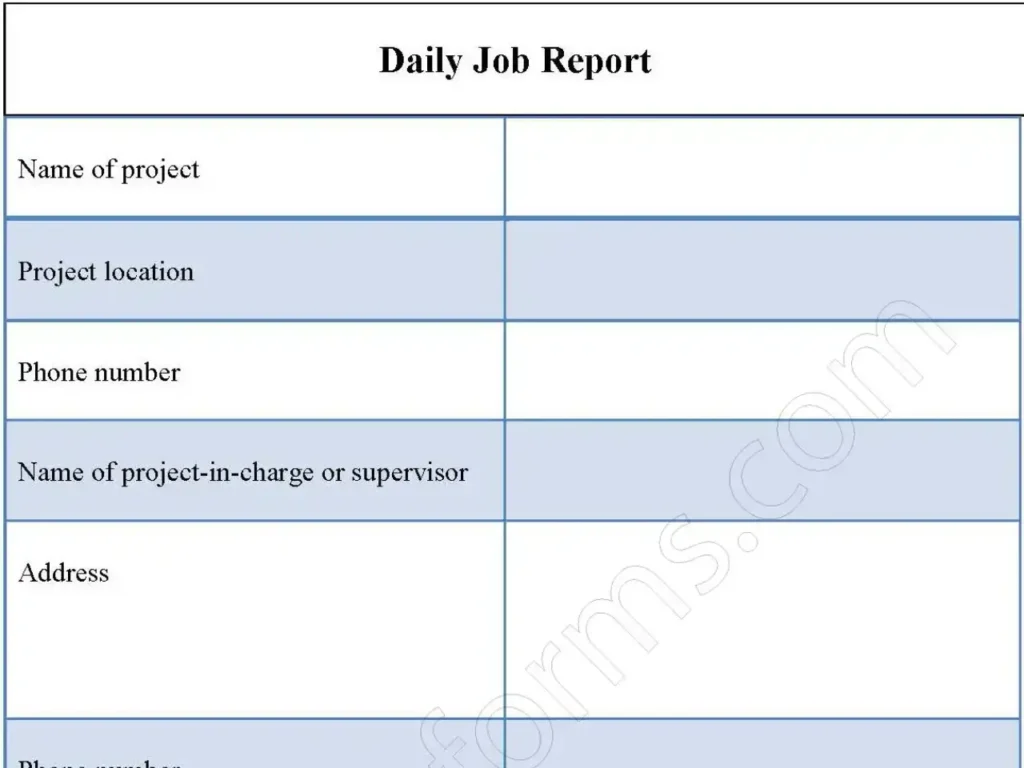 Daily Job Report Fillable PDF Form