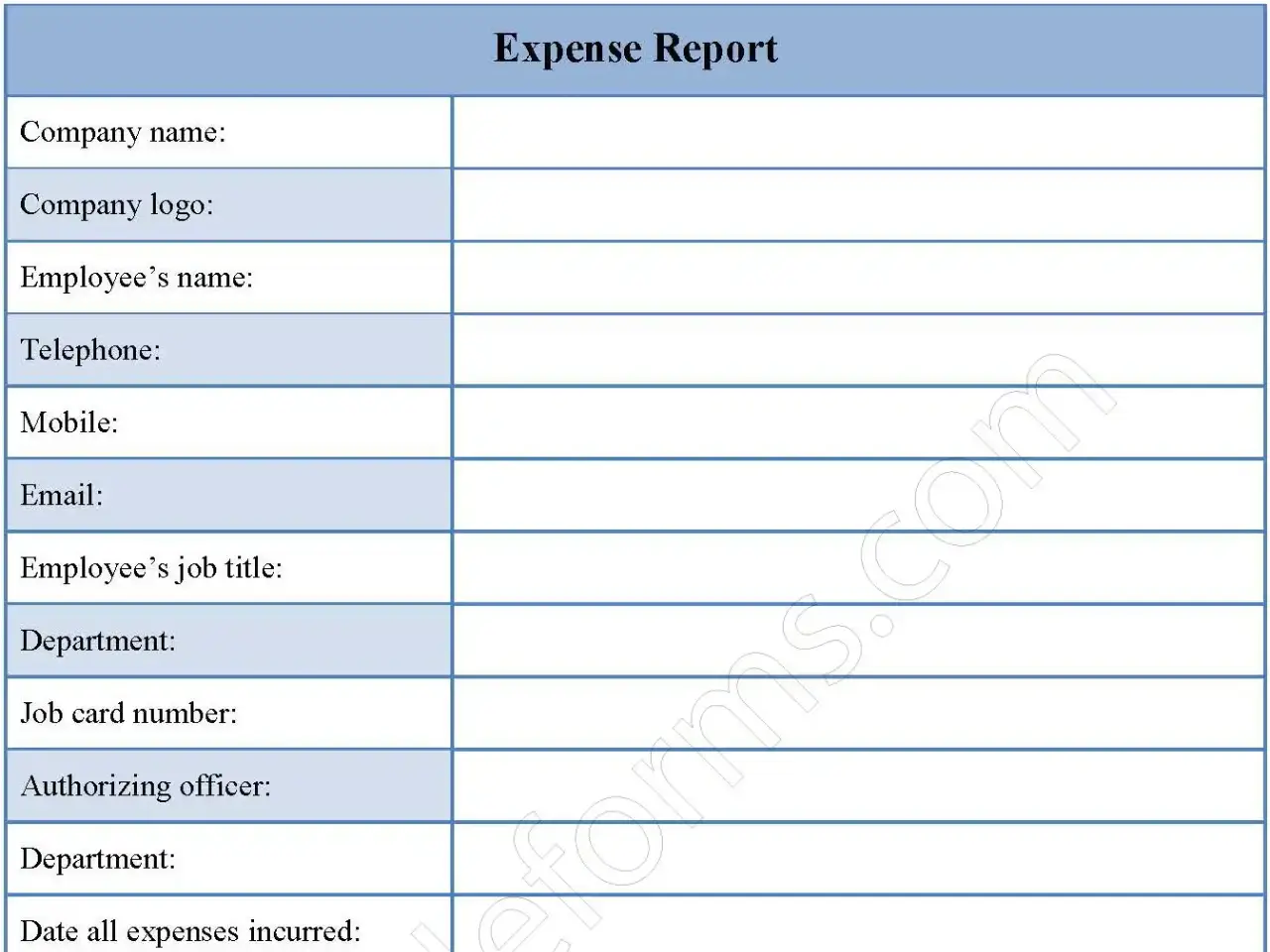 Expense Report Fillable PDF Form Template