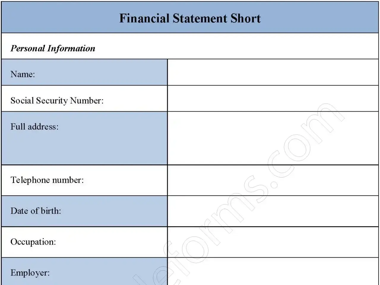 Financial Statement Short Fillable PDF Form