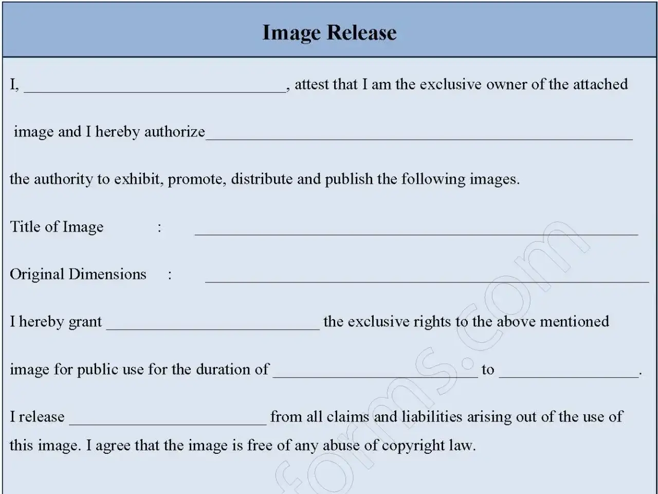 Image Release Fillable PDF Form