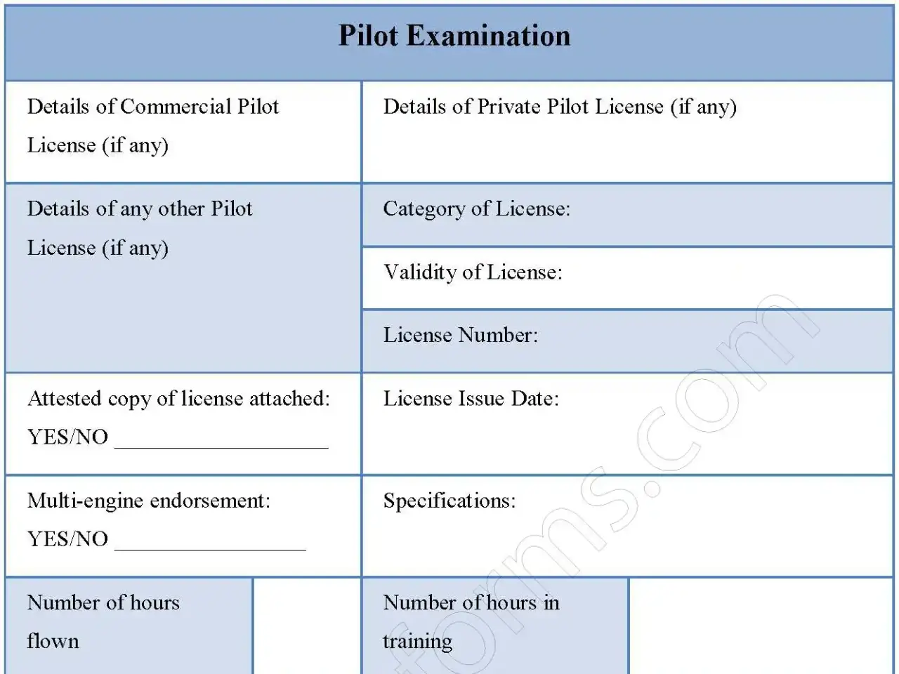 Pilot Examination Fillable PDF Form