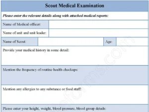 Scout Medical Examination Fillable PDF Form