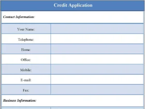 Blank Credit Application Form