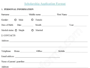 Scholarship Application Format Fillable PDF Form