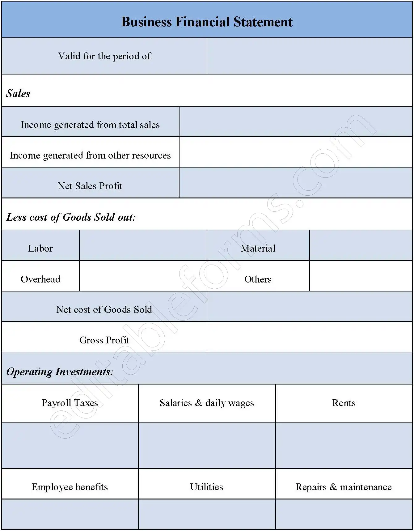 business-financial-statement-fillable-pdf-form