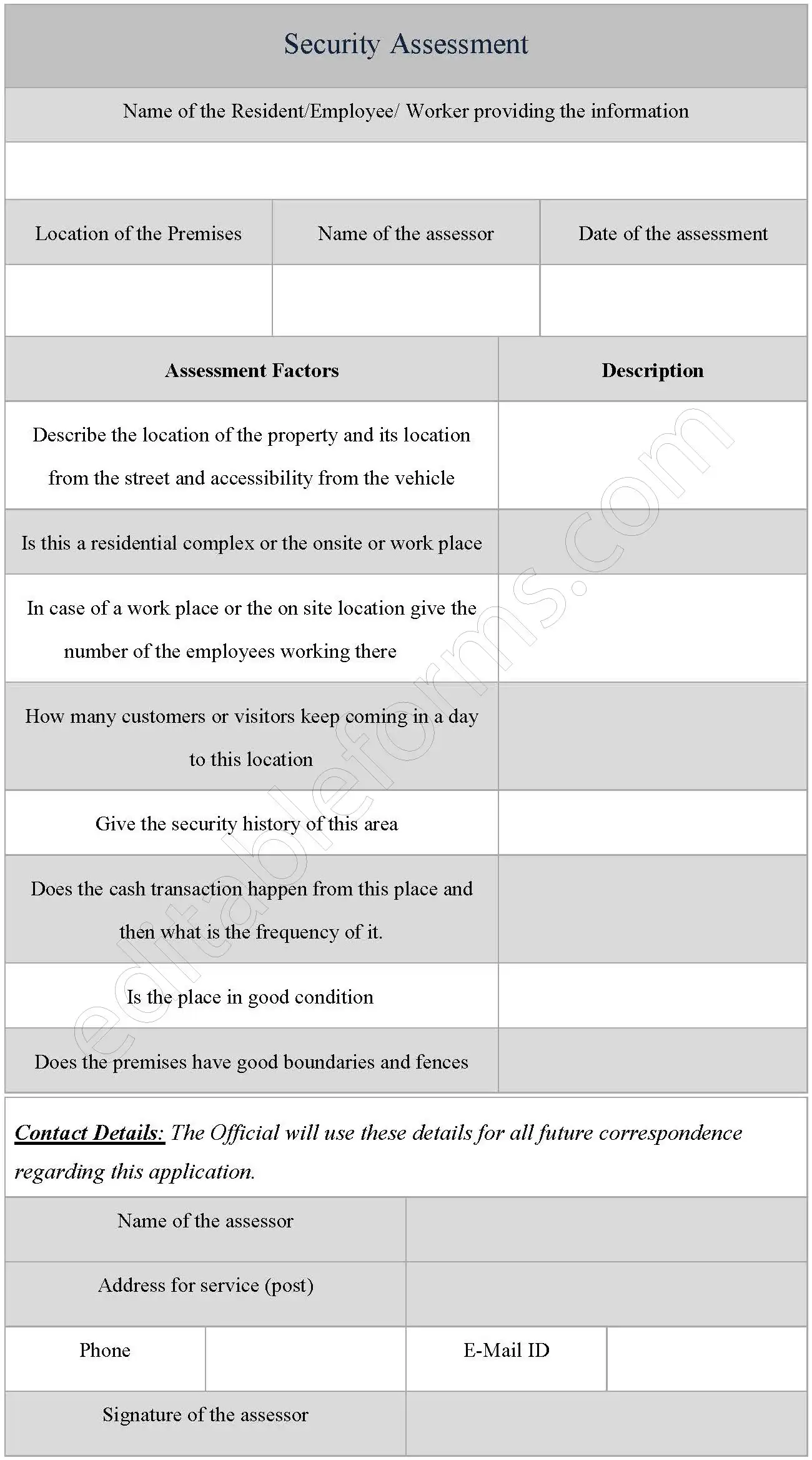Security Assessment Fillable PDF Form