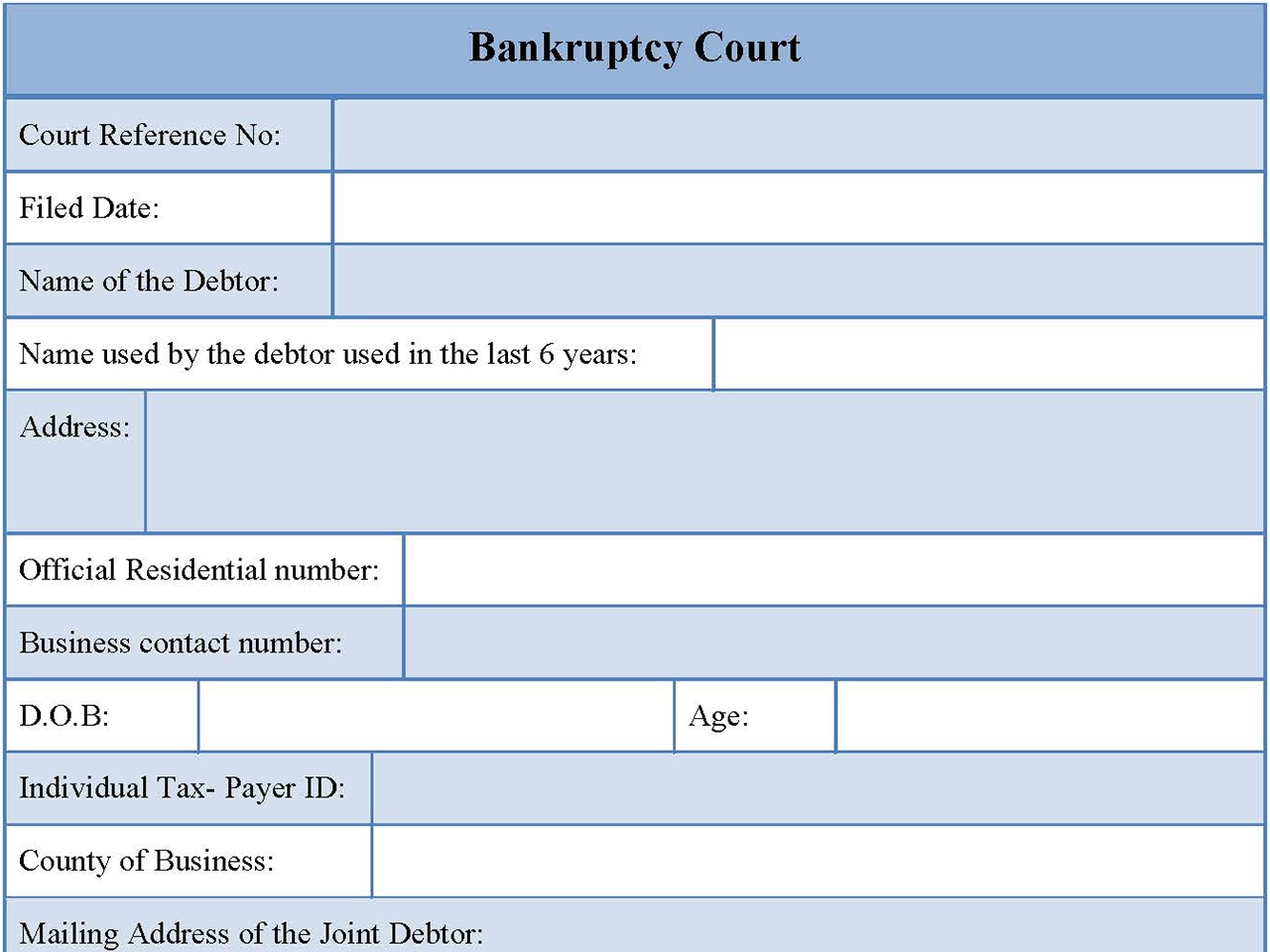 Bankruptcy Court Fillable PDF Form