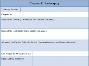 Chapter 11 Bankruptcy Form