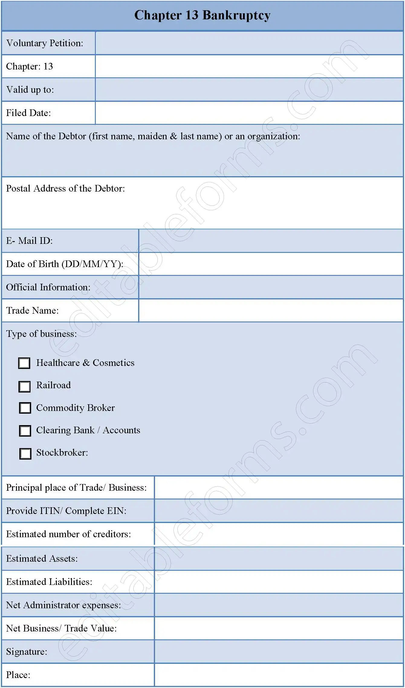 Chapter 13 Bankruptcy Fillable PDF Form