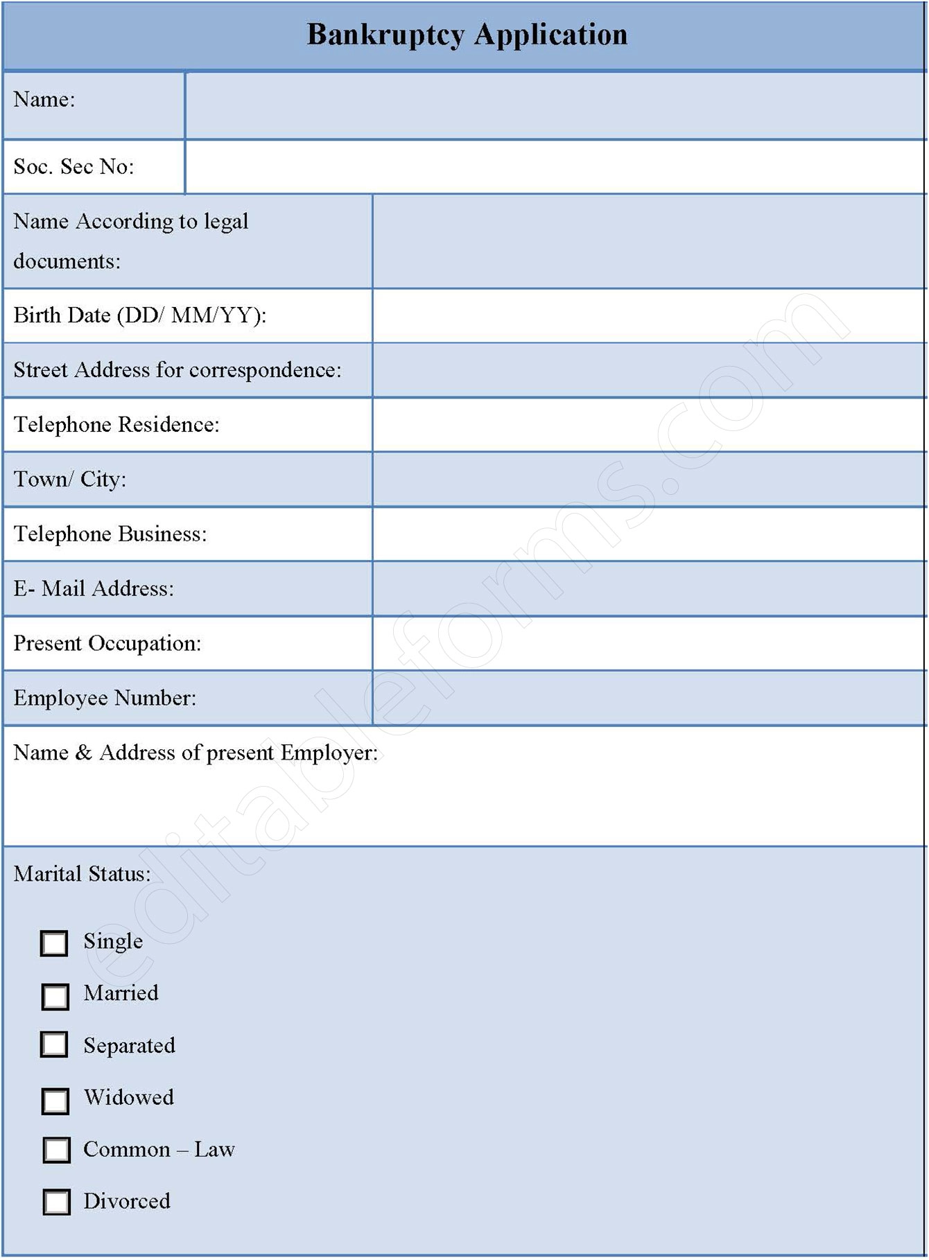 Bankruptcy Application Fillable PDF Template
