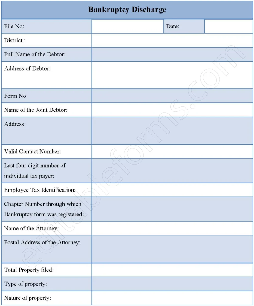 Bankruptcy Discharge Fillable PDF Template