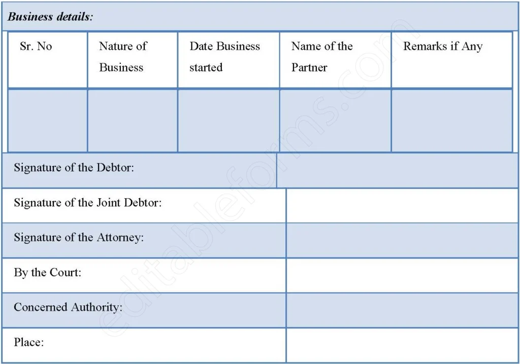 Bankruptcy Discharge Fillable PDF Form