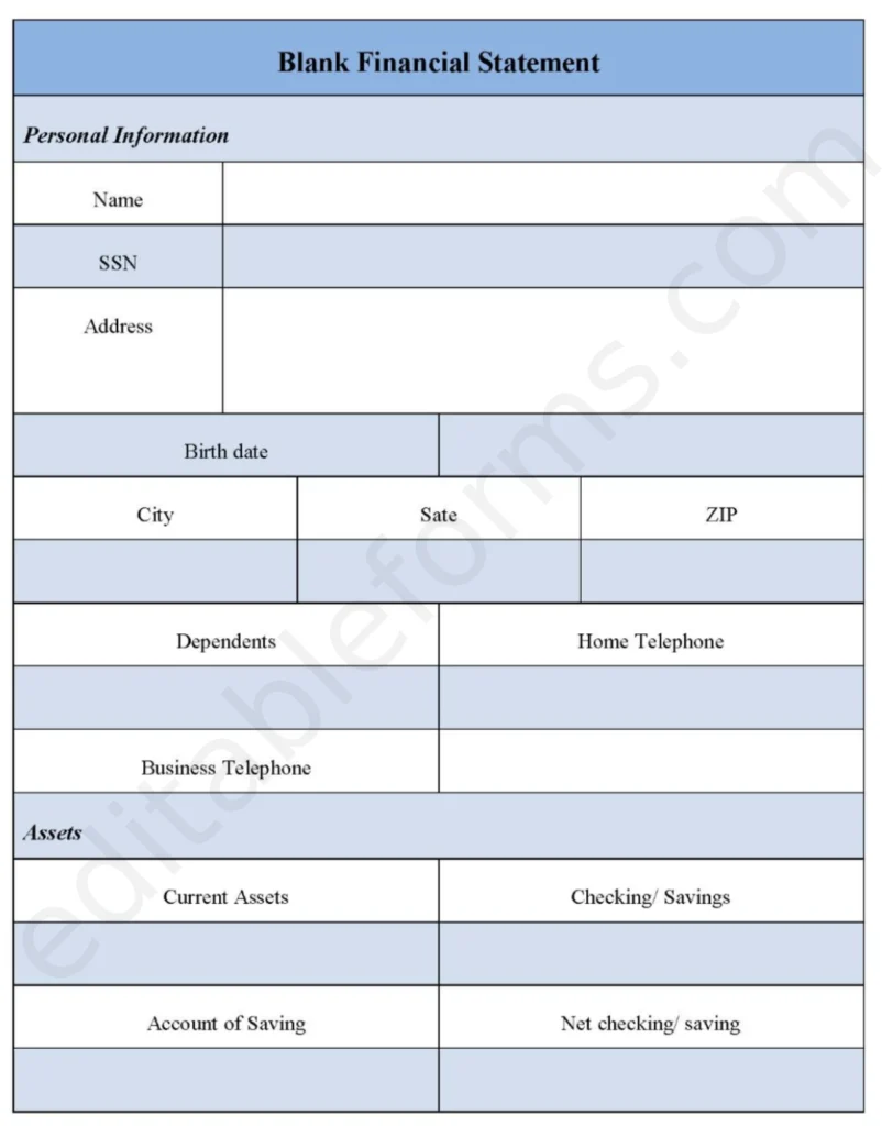 Statement of Blank Financial Fillable PDF Template