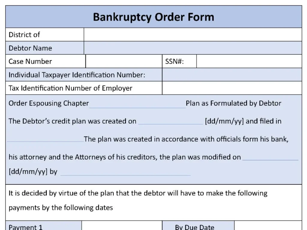 Bankruptcy Order Fillable PDF Form