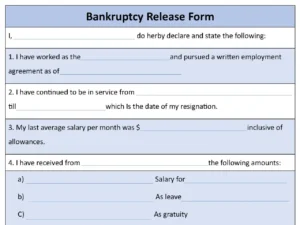 Bankruptcy Release Fillable PDF Form