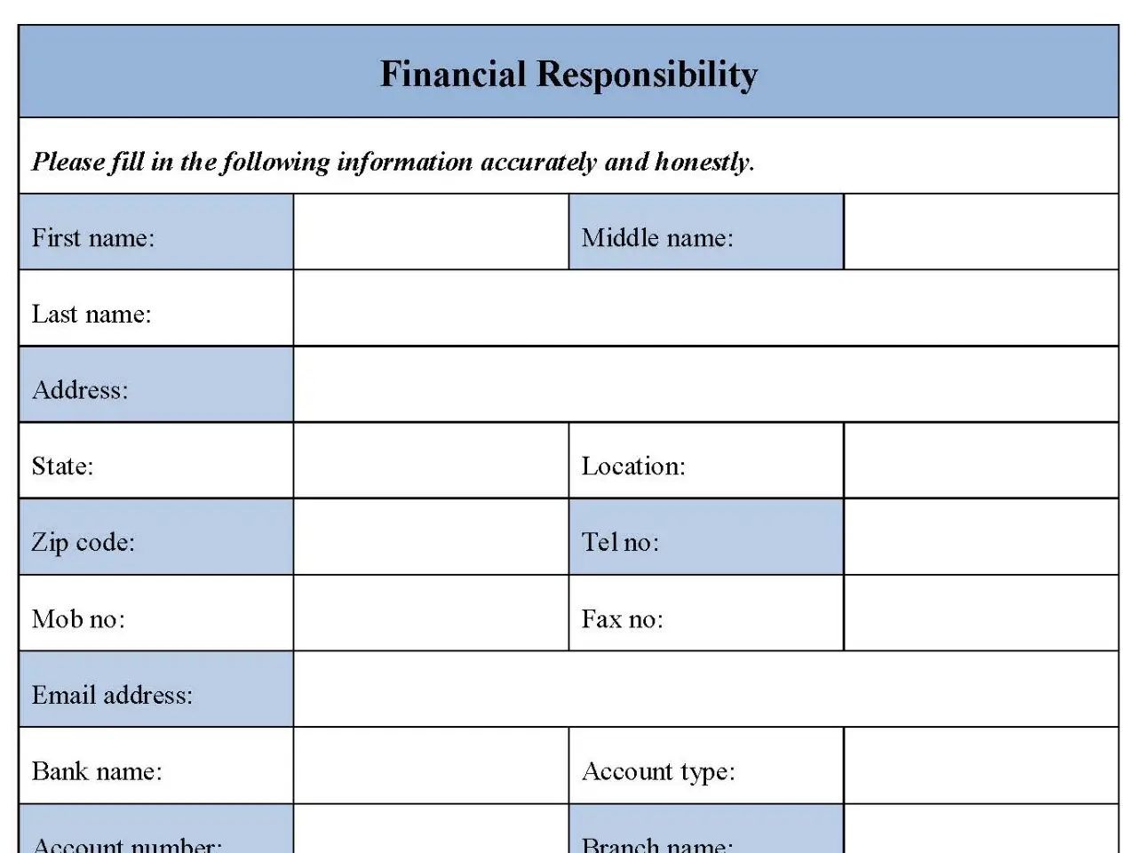 Blank Financial Statement Form
