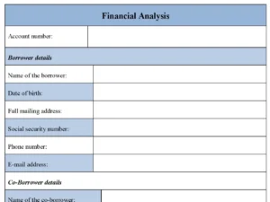 Financial Analysis Fillable PDF Form