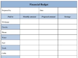 Financial Budget From