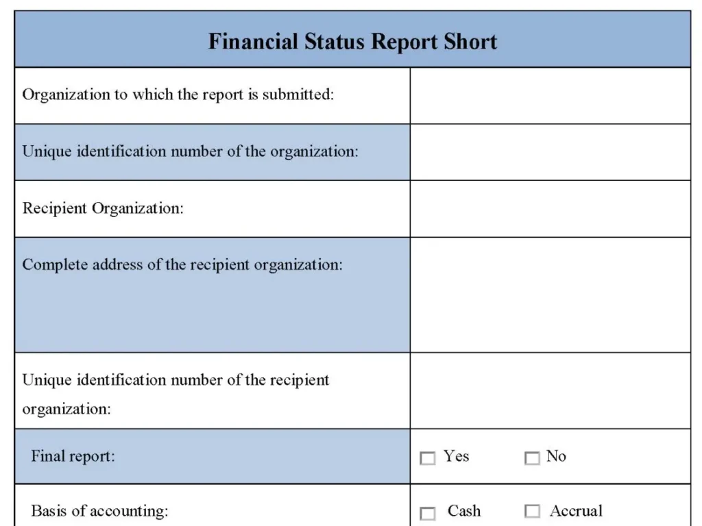 Financial Status Report Short Fillable PDF Form