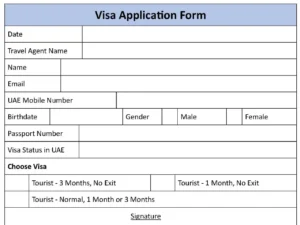 Visa Application Fillable PDF Form